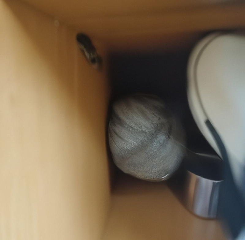 Wespen-entfernen Zunzgen