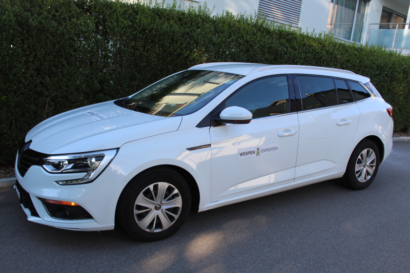 Wespennest entfernen Liestal